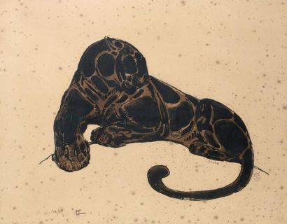 Paul JOUVE (1880-1973) «Panthère noire couchée» (1932). Lithographie en couleur et...