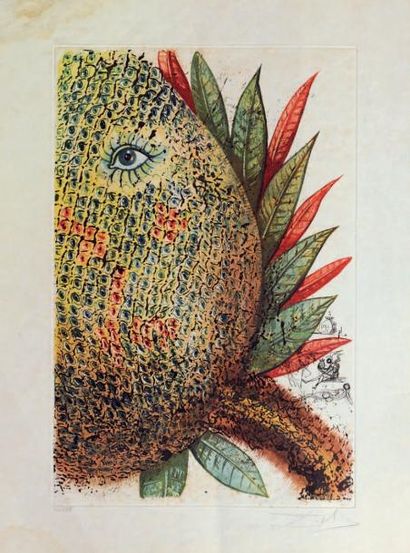 Salvador DALI (1904-1989) Ananas, 1967. 2 pointes sèches et lithographies couleur...