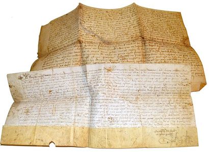 CHARTES. Chartes sur vélin du XVIe siècle....