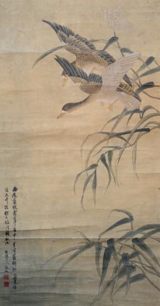 CHINE - XXe siècle Peinture à l'encre et couleurs sur papier, représentant deux oies...