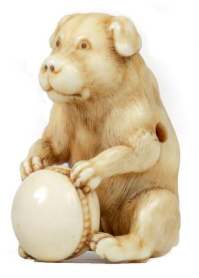 JAPON - Epoque MEIJI (1868 - 1912) Netsuke en ivoire, chien assis jouant avec une...