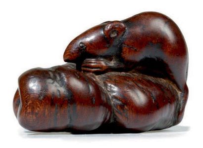 JAPON - Epoque EDO (1603 - 1868) Netsuke en bois patiné brun, rat assis sur des châtaignes...