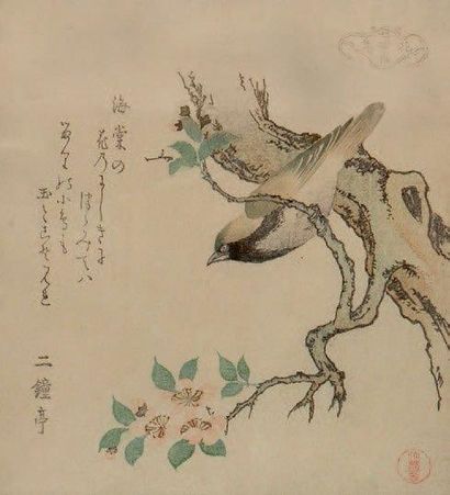 JAPON - Epoque MEIJI (1868 - 1912) Surimono, oiseau posé sur une branche de prunier...