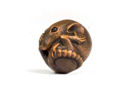 JAPON Epoque EDO (1603 - 1868) Petit netsuke en buis à patine brune, rongeur assis...