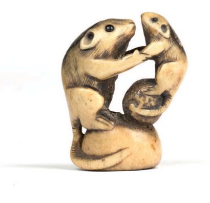 JAPON Epoque EDO (1603 - 1868) Netsuke en corne de cerf à patine jaune, Deux rongeurs...