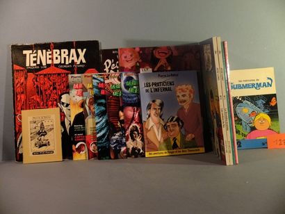 null Lot de 15 albums dont Pichard Pichard et Lob: Tenebrax (1973), Submerman (EO...