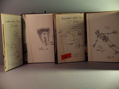 null Lot de 6 volumes avec dessins, dont Durand Durand: Emotion de censure (1999...
