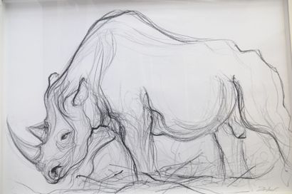 null Rhinocéros
Fusain sur papier
Signé en bas à droite
99 x 69 cm
