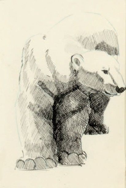 Georges GUYOT (1885-1973) 
White bear
Ink and pencil on paper, unsigned.
= 11 x 7...