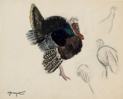 Georges GUYOT (1885-1973) 
Study of a turkey
Watercolor, pastel and pencil on paper,...