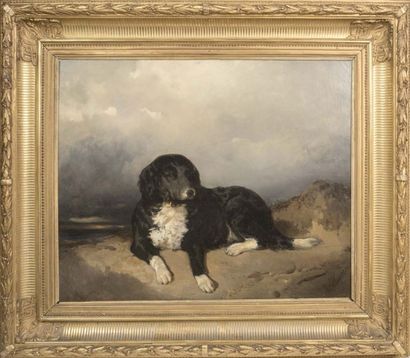 Charles HOGUET (1821-1870) 
Portrait de Chien
Huile sur toile, signée en bas à droite...