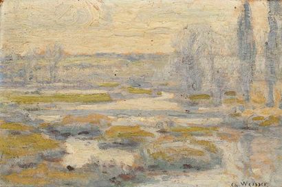 Charles Louis WEISSER (1864-1940) 
Paysage aux grands arbres
Huile sur bois
Signée...