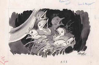 RAY-LAMBERT (1889-1967) 
2 Dessins animaliers
«Les Oisillons» encre de Chine 24 x...