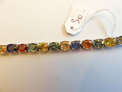 null Bracelet ligne, orné d'une rivière de saphirs de couleur (23cts env.), en or...