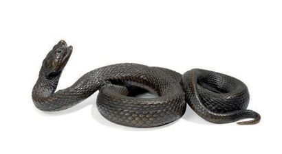 ANONYME Serpent
Epreuve en bronze à patine brune nuancée.
Japon fin XIXe siècle.
Long....