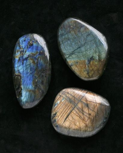 Labradorite : 12,5 x 8 cm 