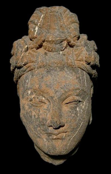 ART GRÉCO-BOUDDHIQUE DU GANDHARA (Ier - Ve siècle) Tête de Bodhisattva. En schiste....