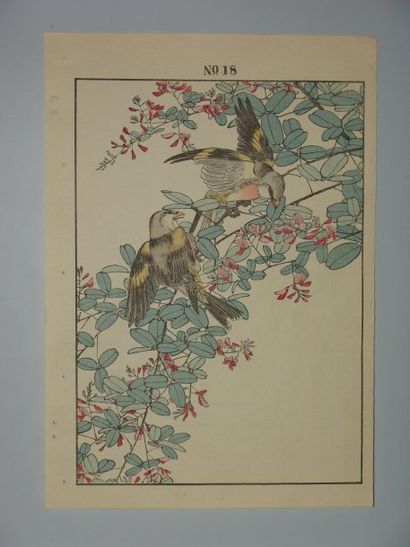 JAPON Trois estampes de Keinen, série des oiseaux aux quatre saisons. 1891.