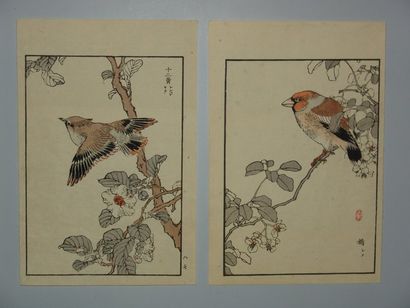 JAPON Six estampes de Bairei, série des 100 oiseaux. 1881.