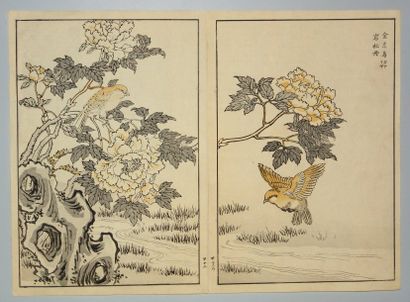 JAPON Estampe de Bunrei, diptyque, couple d'oiseaux dans les paeonia. 1893.