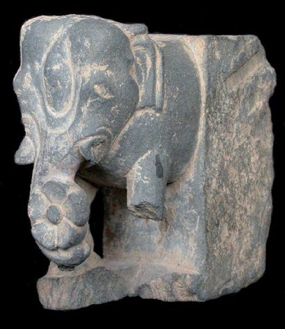 GRECO-BOUDDHIQUE DU GANDHARA (Ier - Vème siècle ap. J.C.) Protomé d'éléphant. La...