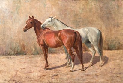 null John-Lewis SHONBORN (1852-1931)

Chevaux

Huile

42 x 61 cm