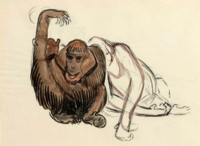 Georges Lucien GUYOT (1885-1973) Etude de singes
Aquarelle et crayon
26 x 20 cm