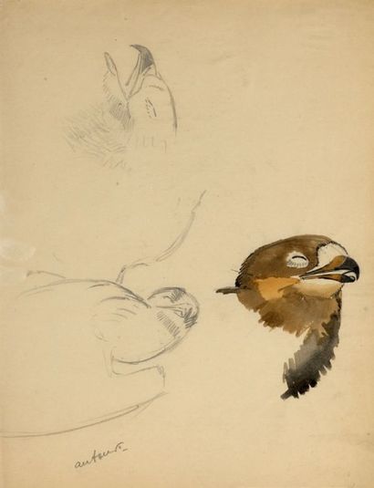 Georges Lucien GUYOT (1885-1973) Etude de vautours
Aquarelle et crayon
29 x 21 c...