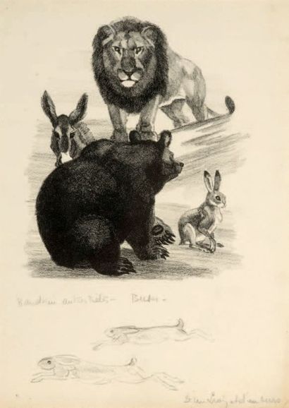 Georges Lucien GUYOT (1885-1973) D'un lion et d'un ours
Fusain
32 x 22 cm