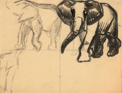 Georges Lucien GUYOT (1885-1973) Etude d'éléphants
Fusain
12 x 16 cm