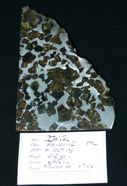 null Méteorite Imilacl, Pallasite, Chili Cette Pallasite a été trouvée en 1822 au...