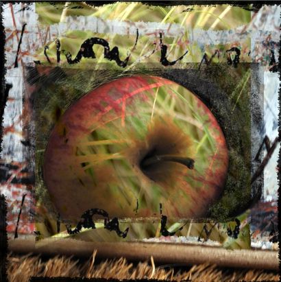 PEREZ-OJEDA Luz Portrait d'une pomme / Impression pigmentaire sur plexiglas Edition...