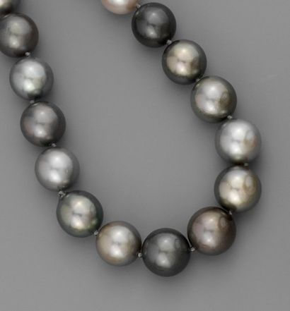 null Collier perles de culture noire de Tahiti (10,5 / 12,5 mm)