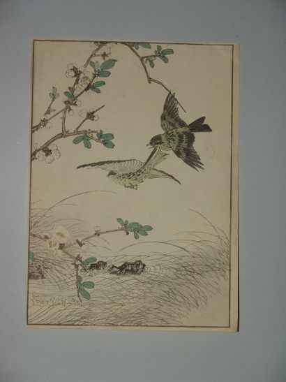 null JAPON Deux estampes de Keinen, série des oiseaux des quatre saisons. 1891.