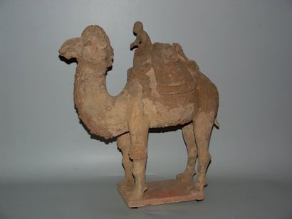 null TANG (618 - 907) Singe assis sur un chameau lainé dit de « Bactriane » représenté...