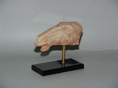null TANG (618 - 907) Tête de cheval. En terre cuite à engobe. L : 11.5 cm