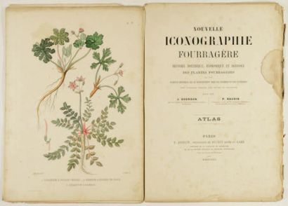 null NOUVELLE ICONOGRAPHIE FOURRAGERE Histoire botanique, économique et agricole...