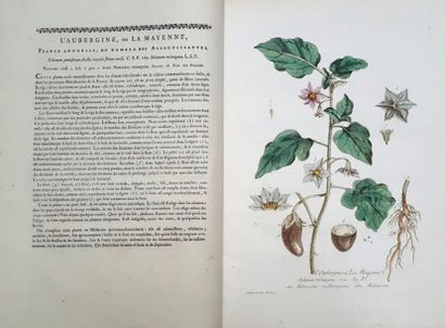 null LA BOTANIQUE DE REGNAULT 2 volumes. La botanique mise à la portée de tout le...