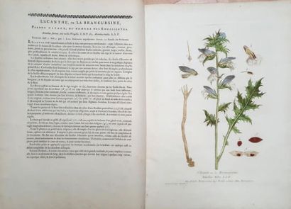 null LA BOTANIQUE DE REGNAULT 2 volumes. La botanique mise à la portée de tout le...