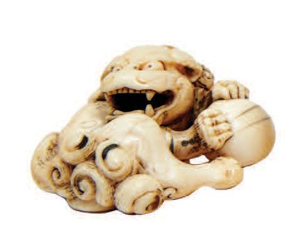 JAPON Epoque EDO (1603 - 1868) 
Netsuke en ivoire, shishi couché, posant les pattes...