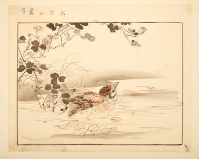 JAPON - XIXE SIÈCLE 
Cinq dessins à l'encre sur papier, oiseaux et fleurs.
Dim. environ...