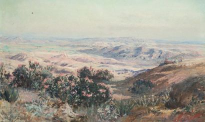 Maxime NOIRÉ (1861-1927) Paysage d'Algérie
Huile sur toile, signée en bas à droite
38...