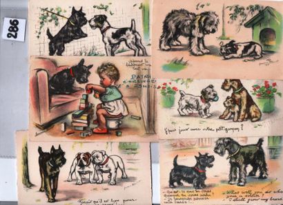 null Lot de 7 cartes postales «chien» éditeur M.D. Paris.
Cartes: MD 46 (sans texte)...
