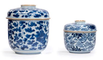 CHINE - EPOQUE KANGXI (1662 - 1722) Deux pots couverts en porcelaine décorée en bleu...