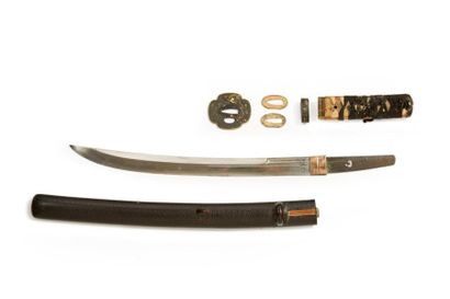 JAPON - Début Epoque EDO (1603 - 1868) Shinto wakizashi, shinogi zukuri, hamon suguha,...