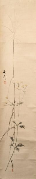 JAPON - Epoque EDO (1603 - 1868) Encre polychrome sur papier, herbes d'automne.
Dim....