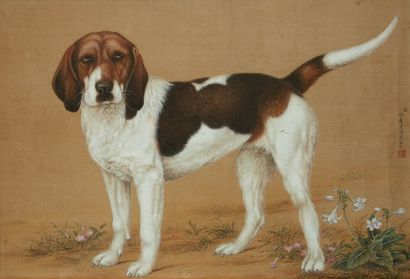 CHINE - XIXe siècle Encre et couleurs sur soie, représentant un beagle, signature...