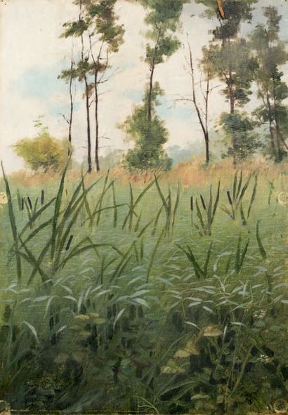 Henri BIVA (1848-1929) Paysage aux grands arbres
Huile sur toile
Signée en bas à...