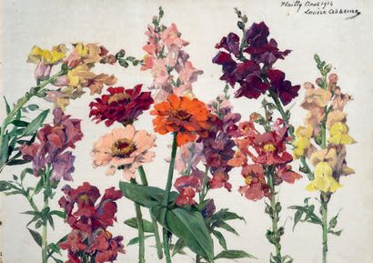 Louise ABBEMA (1858-1927) Fleurs des champs
Huile sur toile signée, située Plailly...