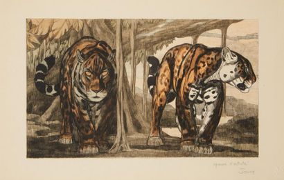 Paul JOUVE (1880-1973) 
«Les deux jaguars»
Lithographie originale, en couleur.
Epreuve...